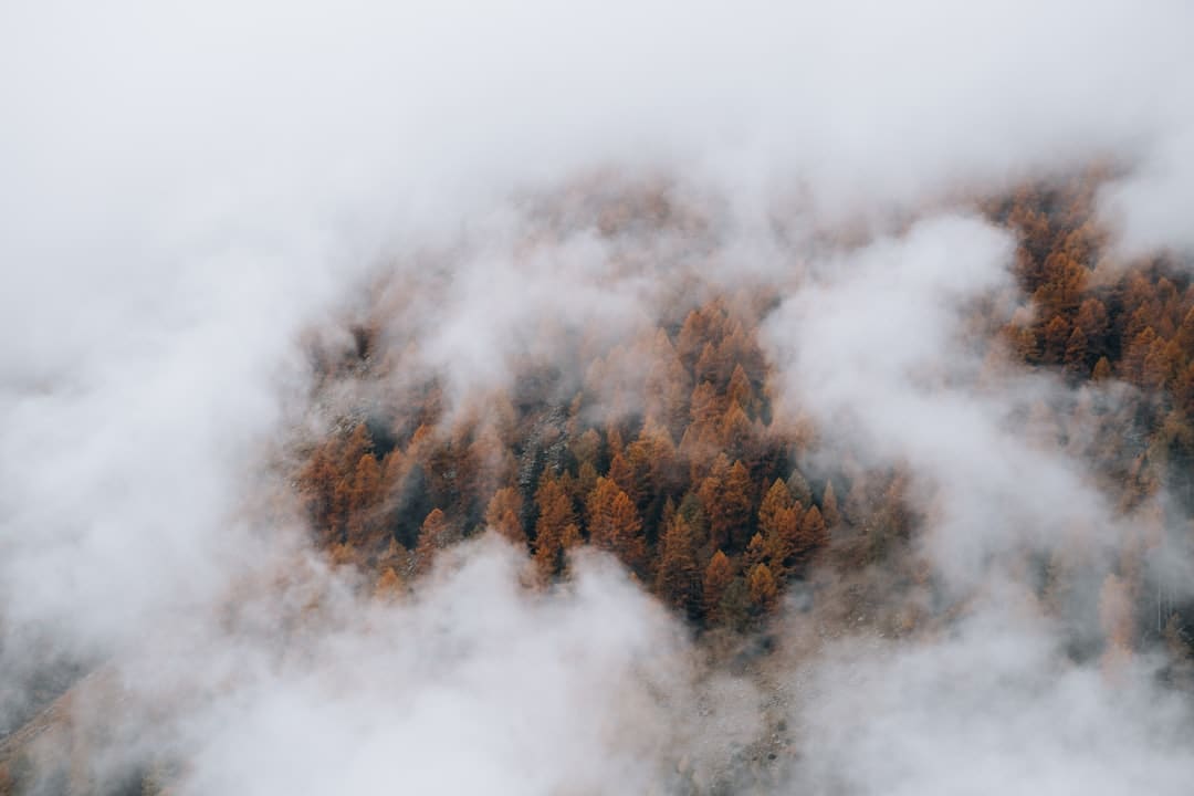 https://static.ws.126.net/163/frontend/images/2022/empty.png